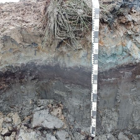 Bodenkundliche Baubegleitung