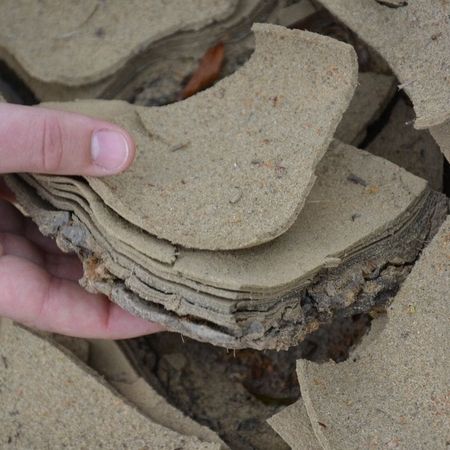 Bodenkundliche Baubegleitung
